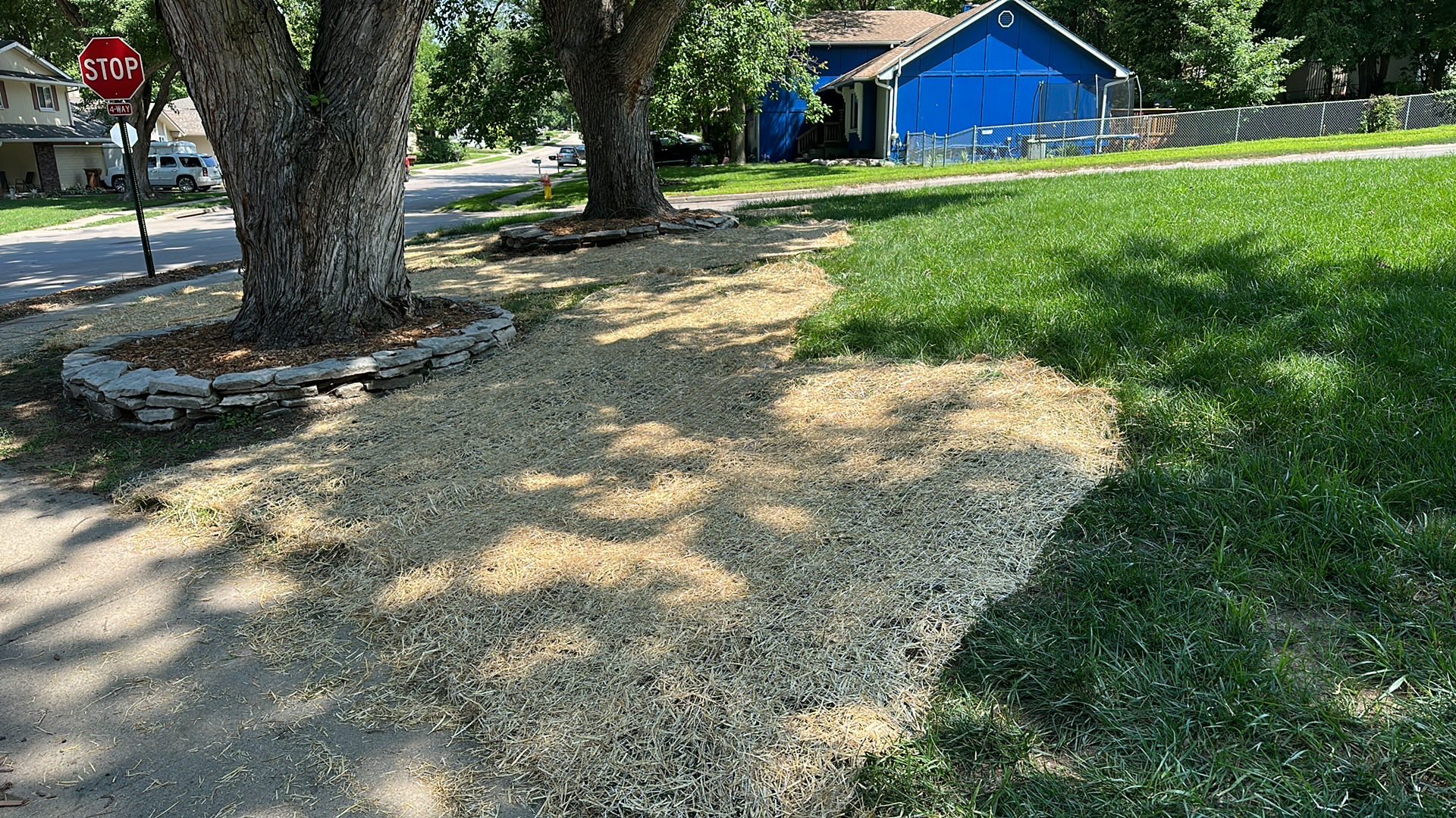 Quality concrete driveway construction