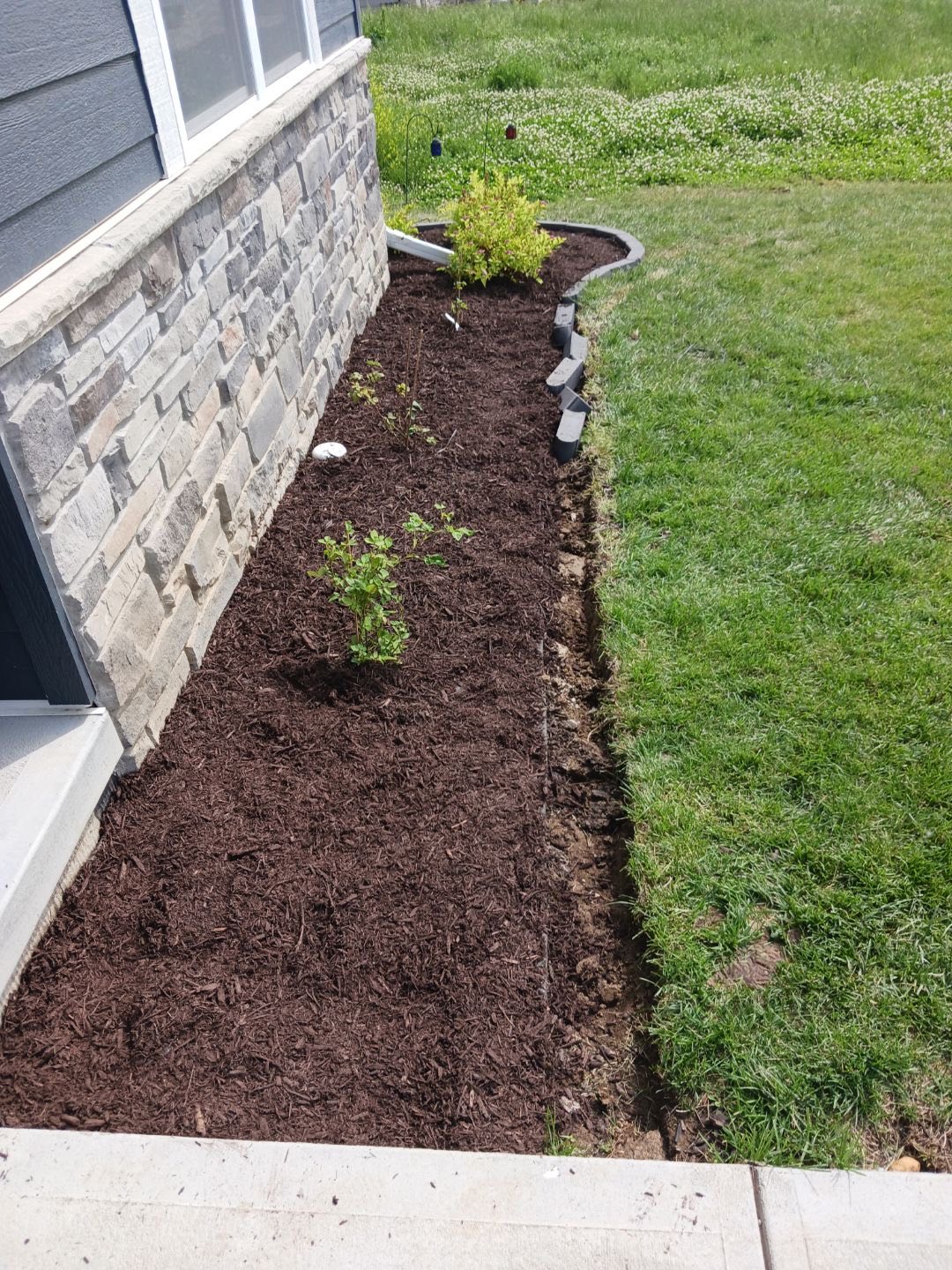 Professional landscaping services